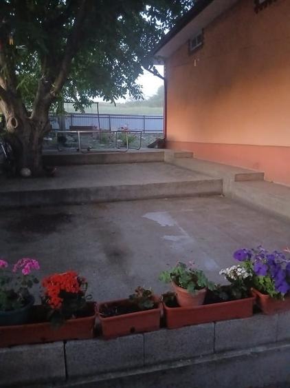 Casă individuală cu 5 camere cu Teren 6000 Mp în Niculcea