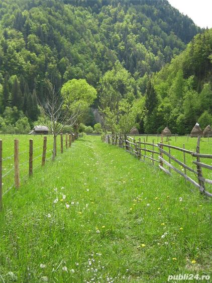 Teren de 2800 mp, în Dâmbovicioara