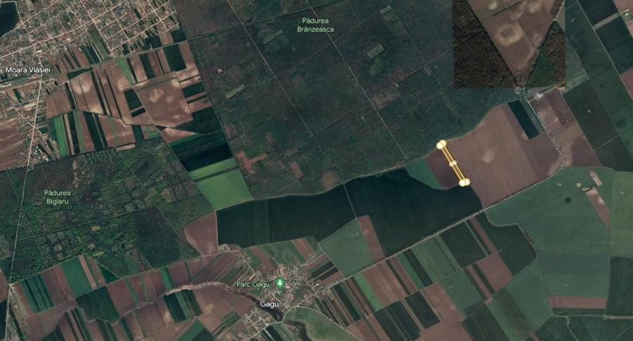 Teren agricol extravilan de 21000 mp, în Moara Vlăsiei