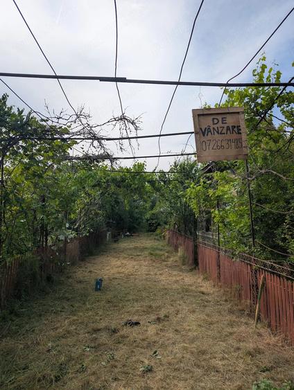 Casă cu 2 camere cu Teren 2000 Mp în Petrești