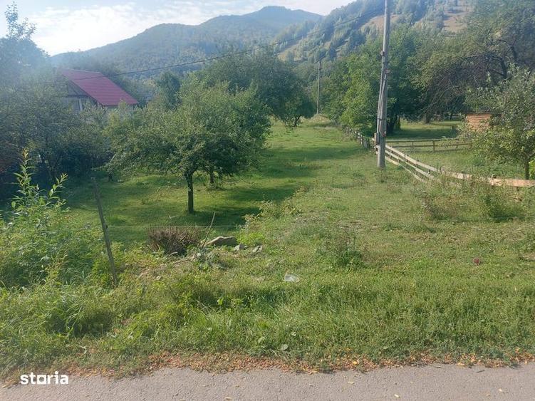 Teren de 1784 mp, în Avram Iancu