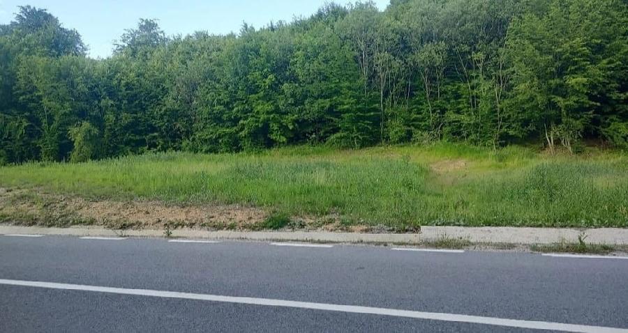 Teren de 9500 mp, în Zece Hotare