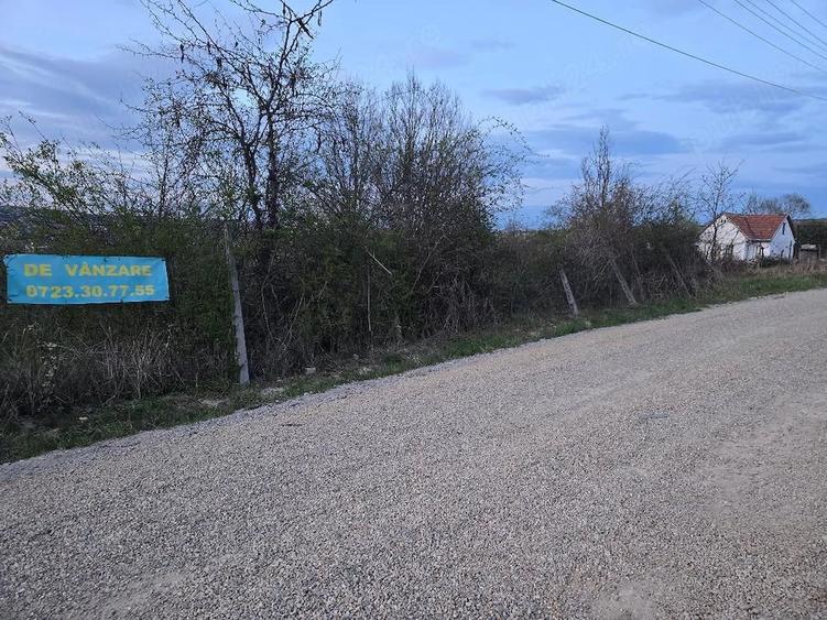 Teren de 1000 mp, în Dealuri Oradea