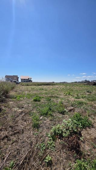 Spațiu comercial, în Nord