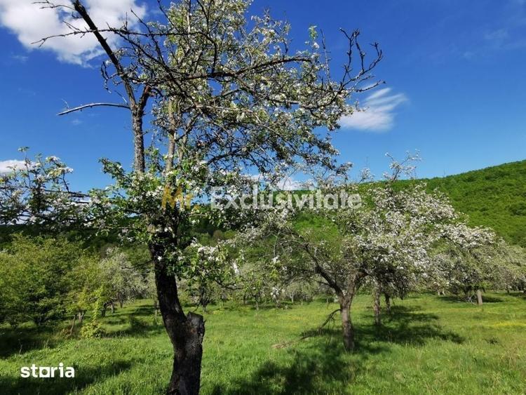 Teren de 680 mp, în Budeasa