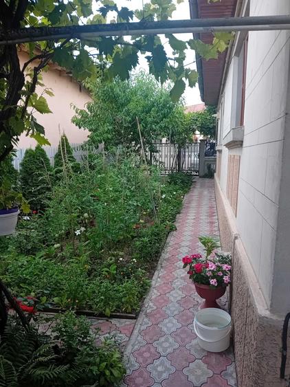Casă cu 4 camere în Costi