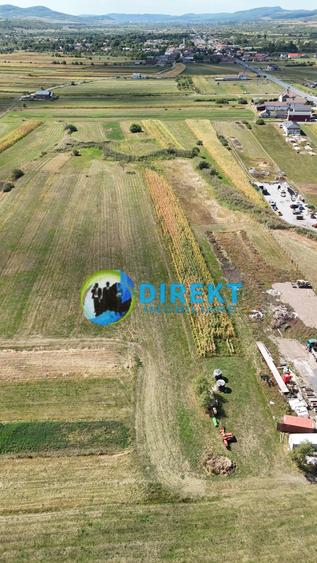 Teren agricol extravilan de 4800 mp, în Josenii Bârgăului