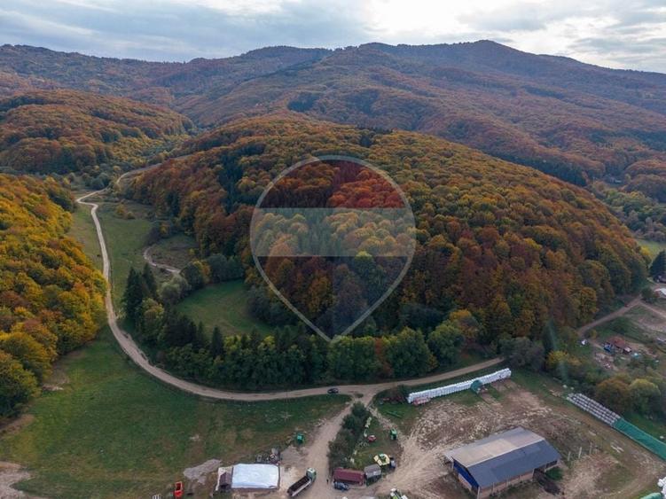 Teren agricol extravilan de 9540 mp, în Teliu