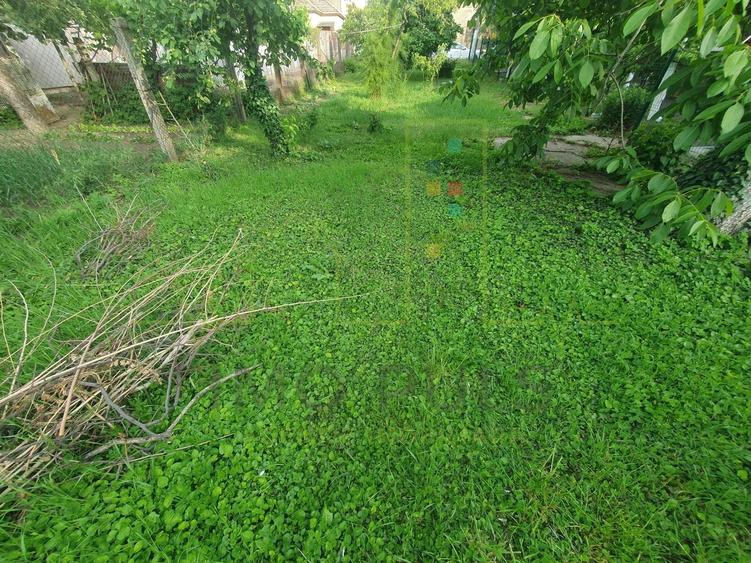 Casă individuală cu 2 camere cu Canalizare în Elisabetin