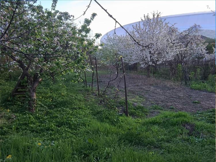 Teren Construcții intravilan de 3000 mp, în Central