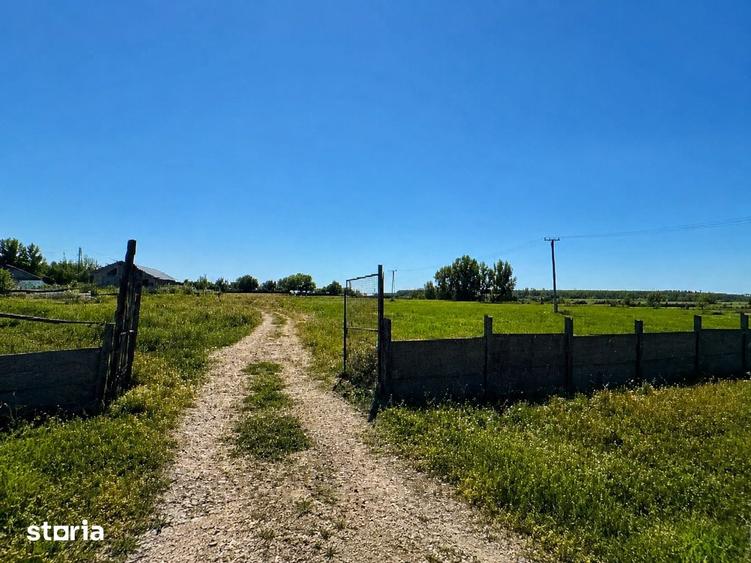 Teren de 40000 mp, în Ivești