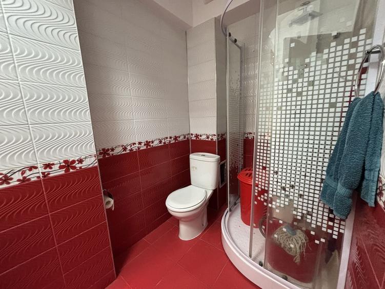 Apartament 3 camere mobilat-utilat cu GARAJ - Doamna Stanca - 13