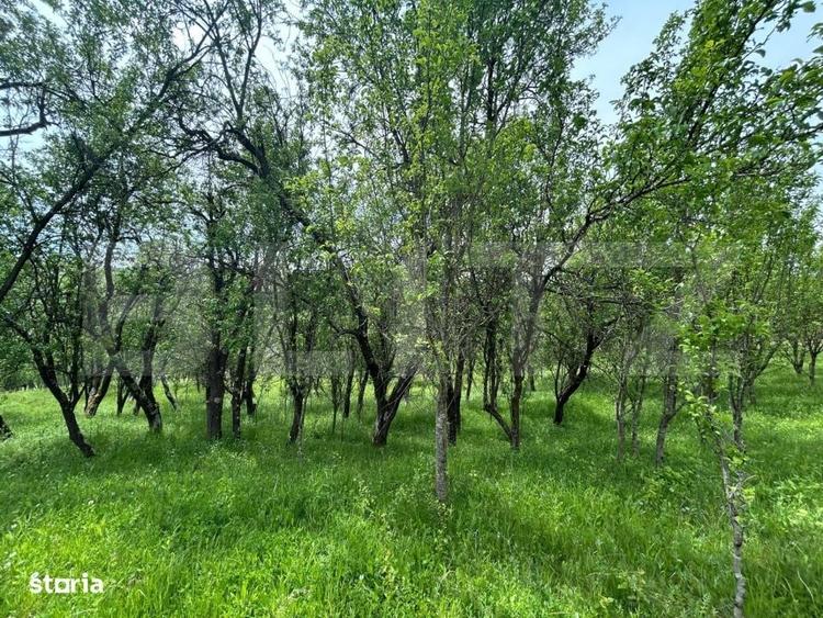 Casă cu 4 camere în Bunești