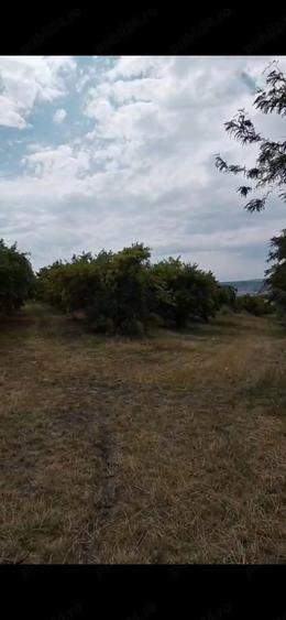 Teren de 1570 mp, în Alexandru cel Bun