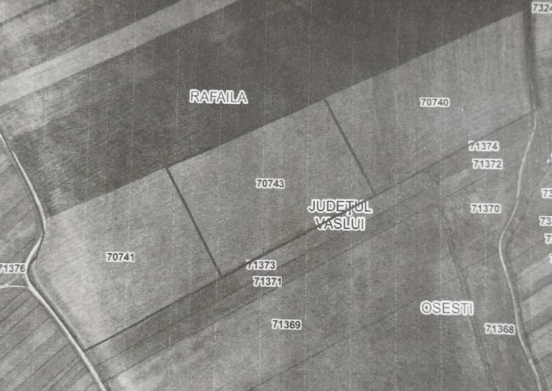 Teren agricol extravilan de 91500 mp, în Rafaila