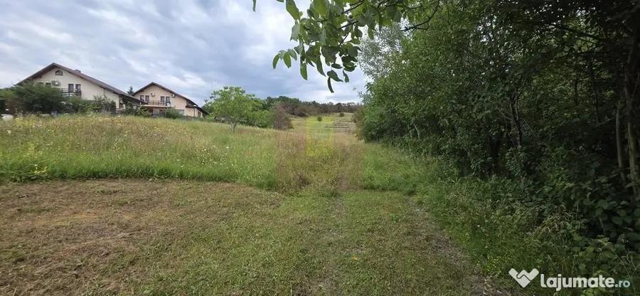Teren în Mușcel