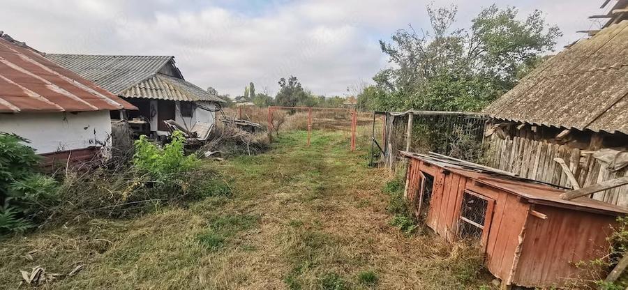Casă cu Teren 3000 Mp în Tătărăștii de Sus