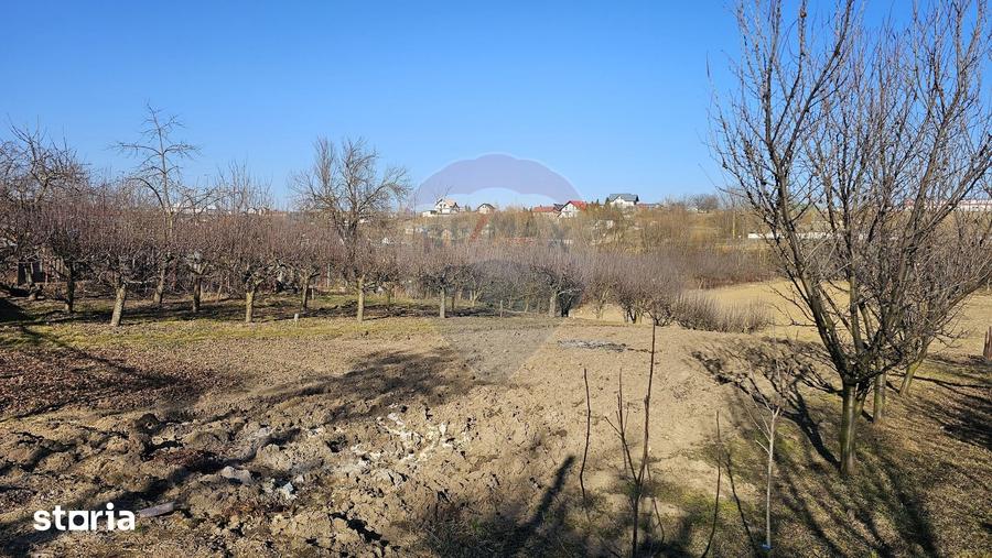 Casă cu 3 camere cu Teren 4900 Mp în Central