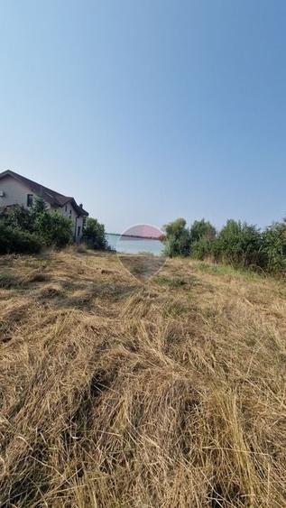 Teren Construcții intravilan de 1437 mp, în Cernica