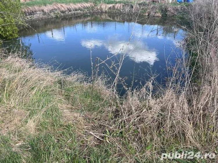 Teren de 2098 mp, în Beregsău Mare