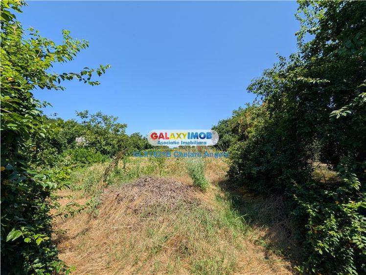 Casă cu 3 camere cu Teren 3000 Mp în Lipia