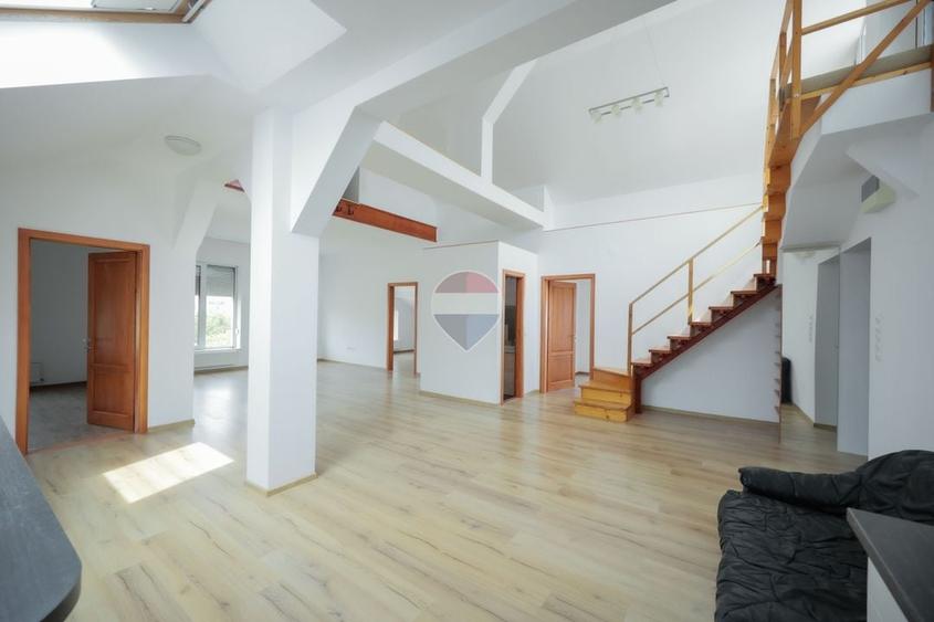 Penthouse cu 4 camere decomandat, mobilat în Nufărul