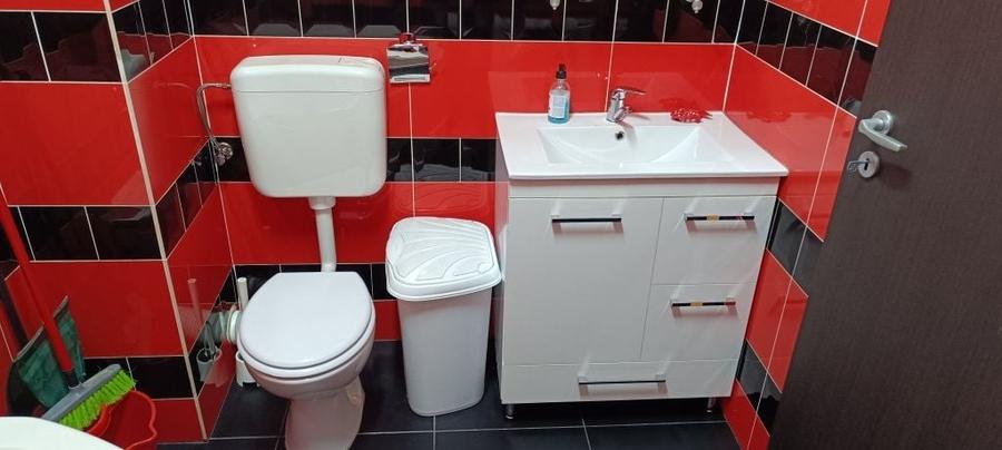 Apartament cu 2 camere decomandat în Roșu