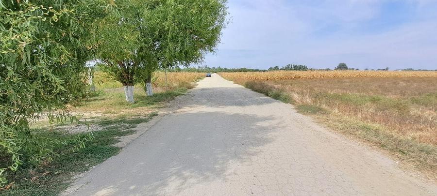 Teren Construcții intravilan de 4700 mp, în Palanca