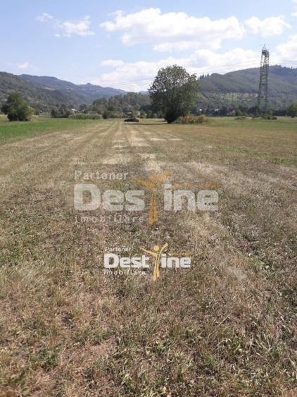 Teren de vanzare Pangarati 58.000 Euro 4488mp Intravilan - 2