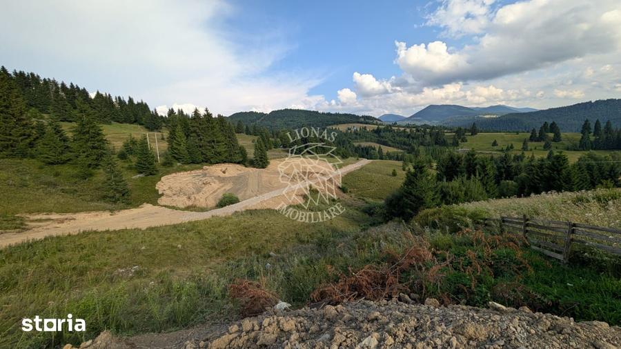 OFERTA! 11 Parcele teren intravilan-Piatra Fantanele, Castel Dracula - 3