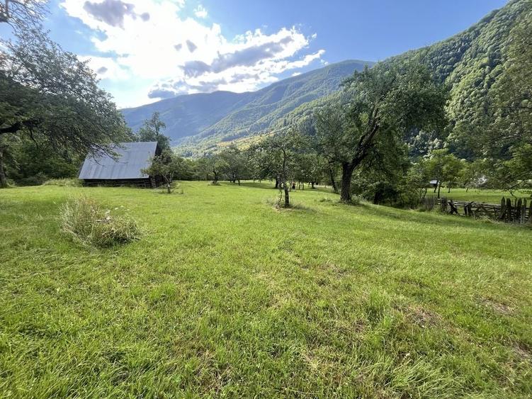 Teren de 5500 mp, în Râu Sadului