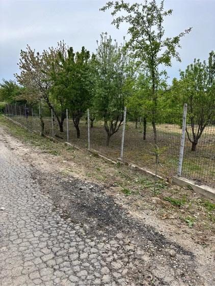 Teren de 570 mp, în Petrăchioaia