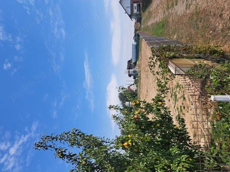 Teren de 4000 mp, în Plopeni