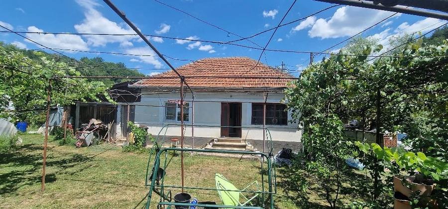 Casă cu Teren 3000 Mp în Central