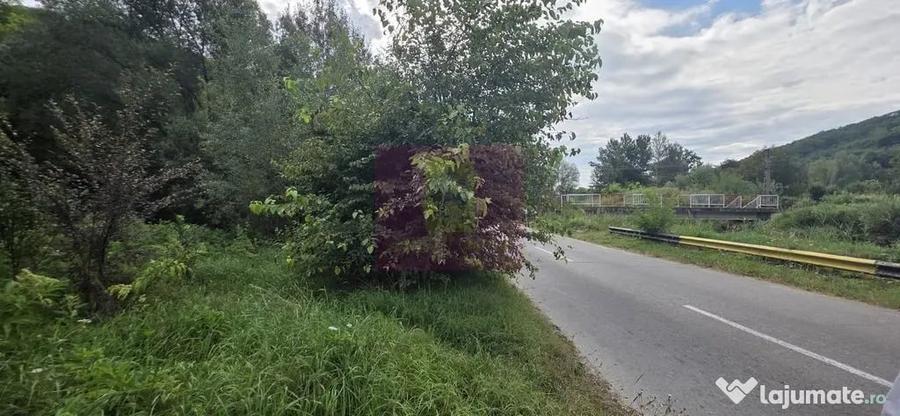 Teren în Telega