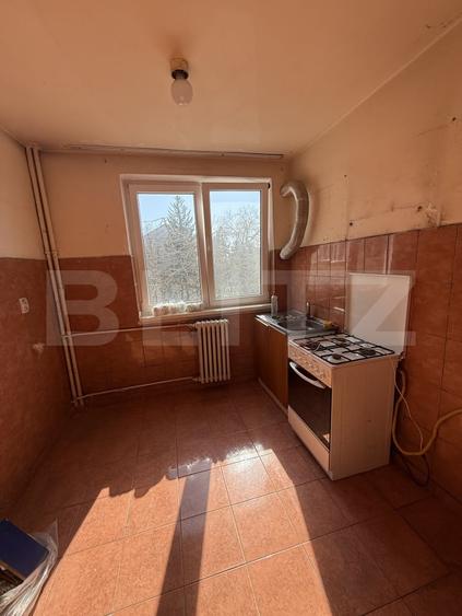 Apartament cu 3 camere, etaj intermediar, zona Tribunal - 8
