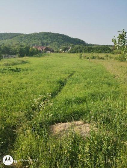 Teren de 4200 mp, în Aghireșu