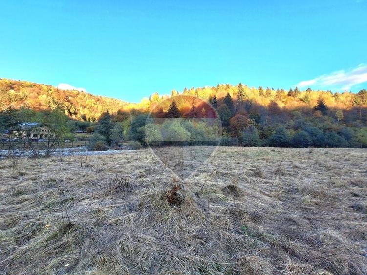 Teren agricol extravilan de 3981 mp, în Plaiul Foii
