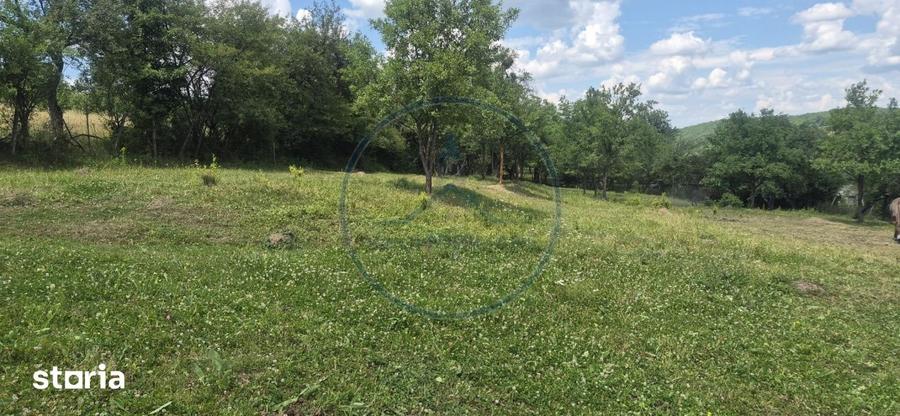 Teren intravilan de vanzare Figa, 3.000 mp - 1