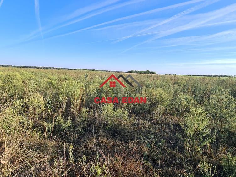 Teren agricol extravilan de 5000 mp, în Urleta