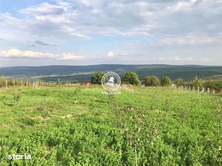 Teren de 6200 mp, în Mogoșești