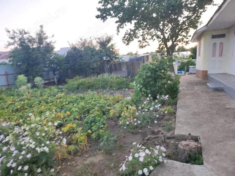 Casă cu Teren 3500 Mp în Central
