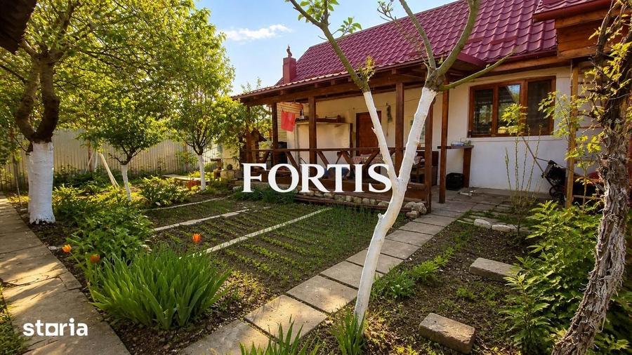 Casa de vanzare 3 camere in Fagaras, zona centrala - 9