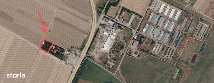 Teren de 4900 mp, în Adunații-Copăceni
