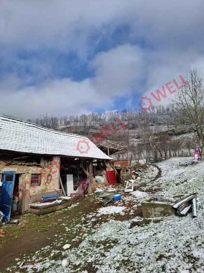 Casă individuală cu 3 camere cu Teren 2000 Mp în Gogan