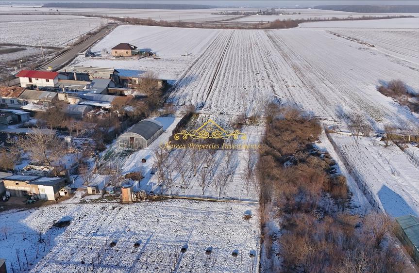 Teren Construcții intravilan de 7470 mp, în Ulmi