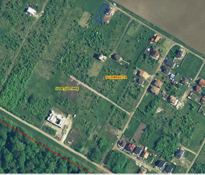 Proprietar, Padure-Dumbravita, 600mp, 80.000E - 2
