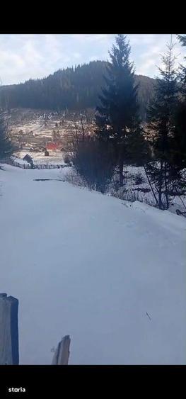 Teren de 8179 mp, în Cârlibaba
