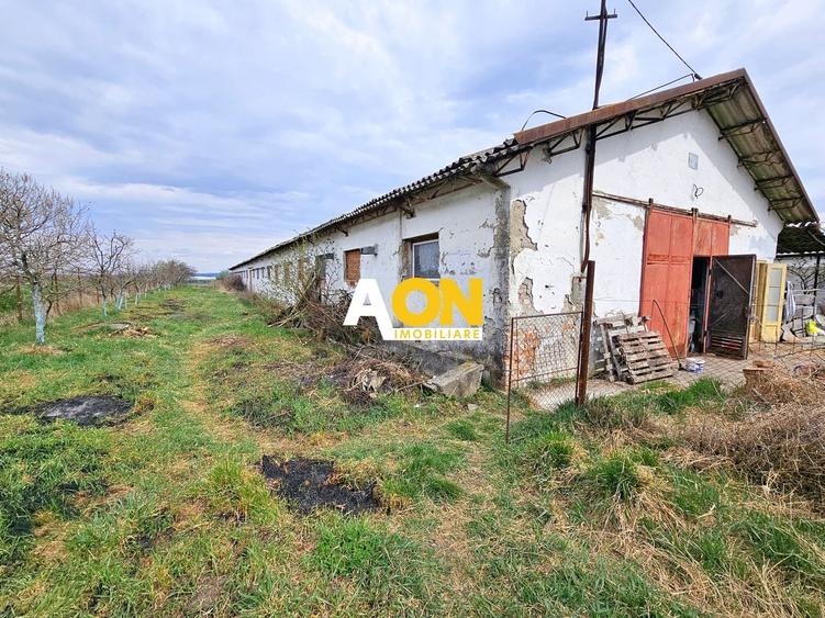 Spațiu industrial, de 1,400 mp, în Lunca Mureșului