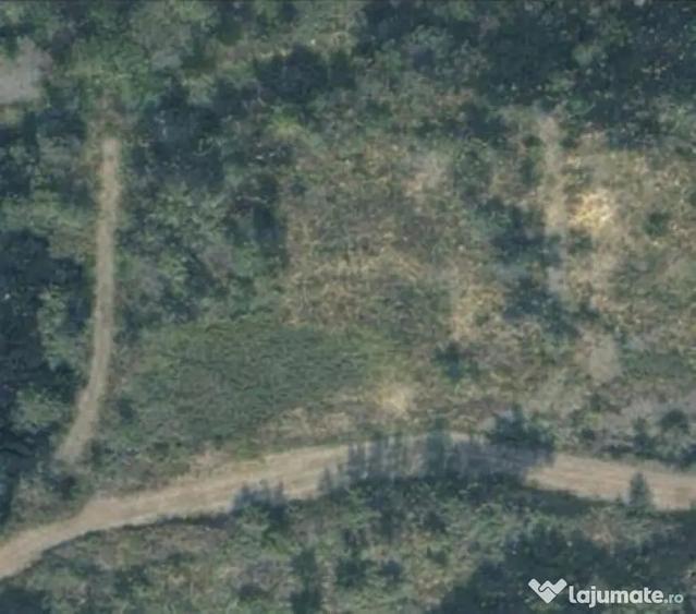 Teren de 6200 mp, în Tăuții-Măgherăuș